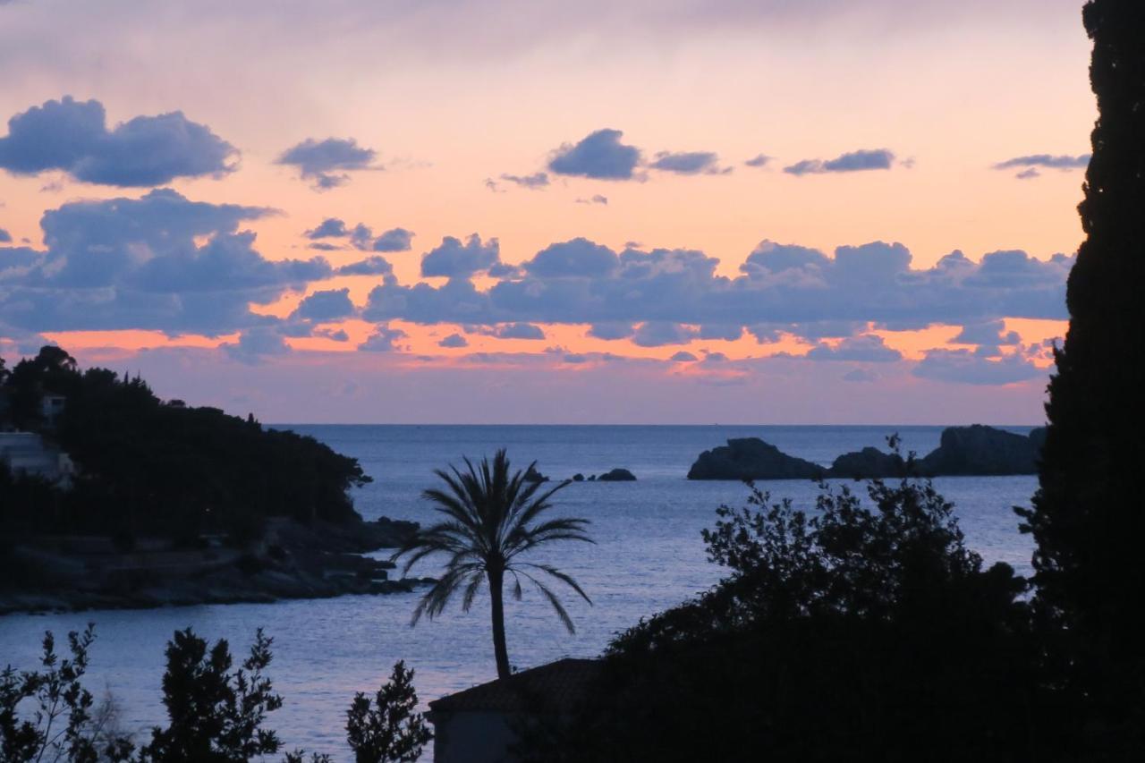 Miomir Dubrovník