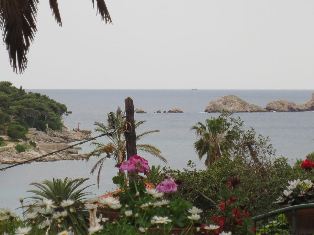 Miomir * Dubrovník