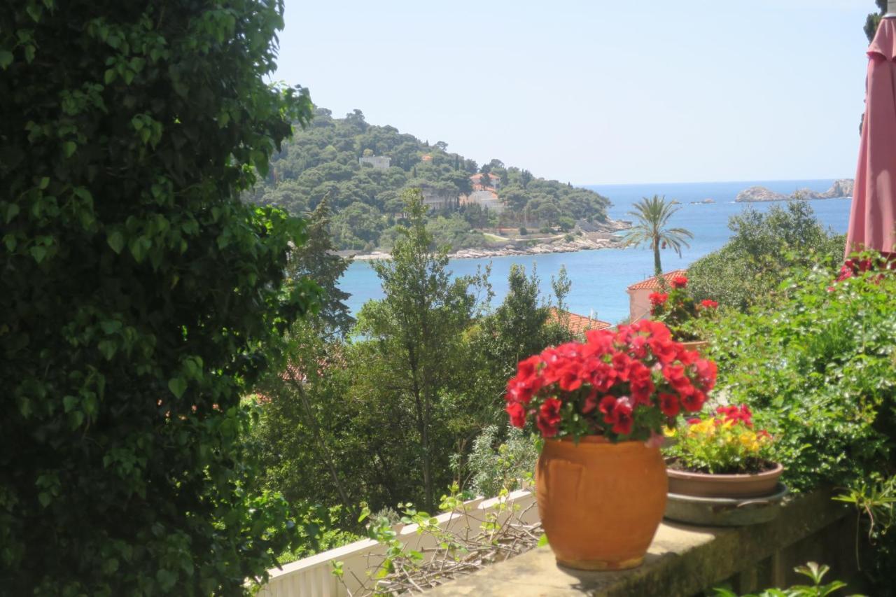 Apartman Miomir *