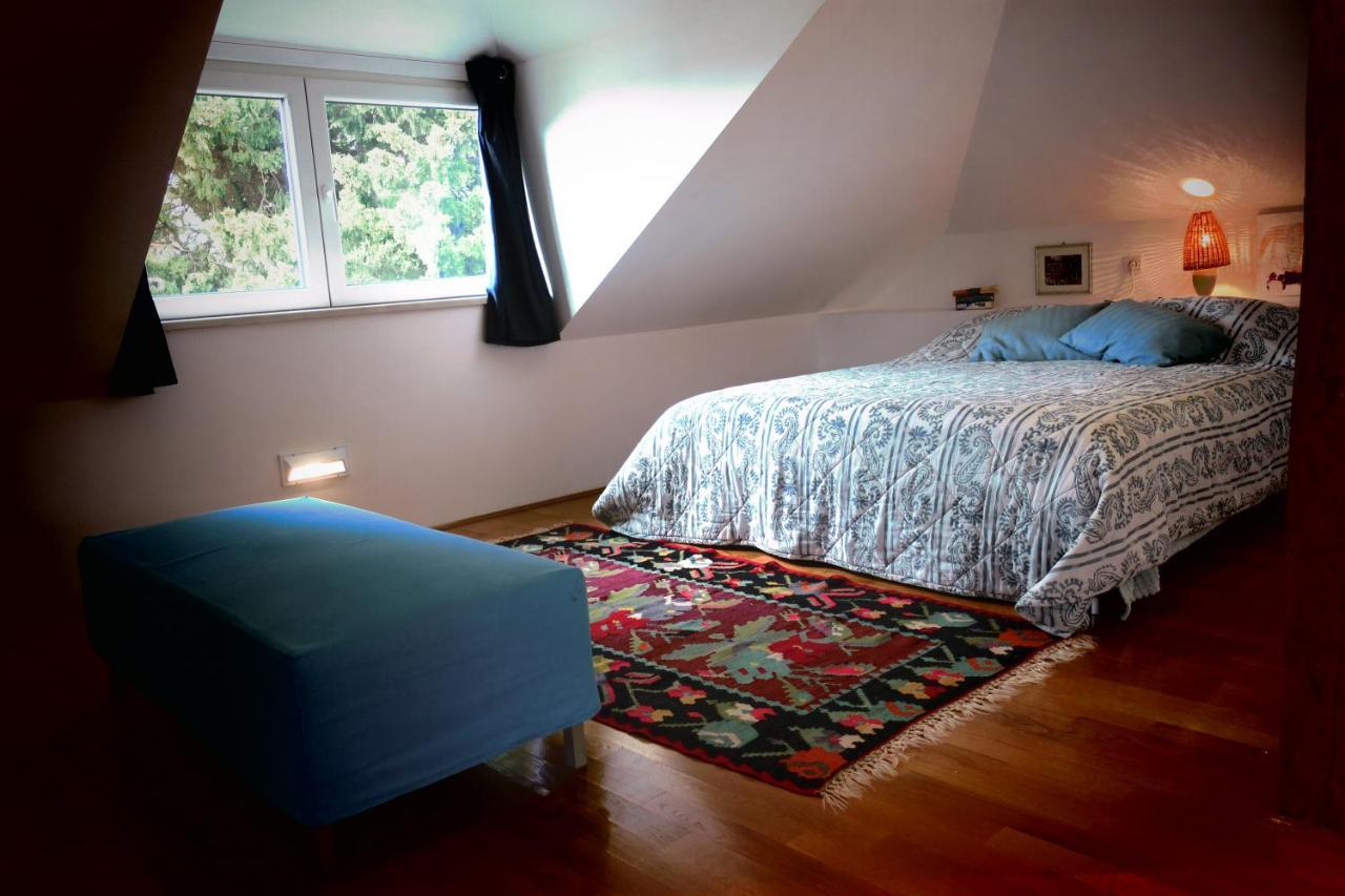 Apartman Miomir *
