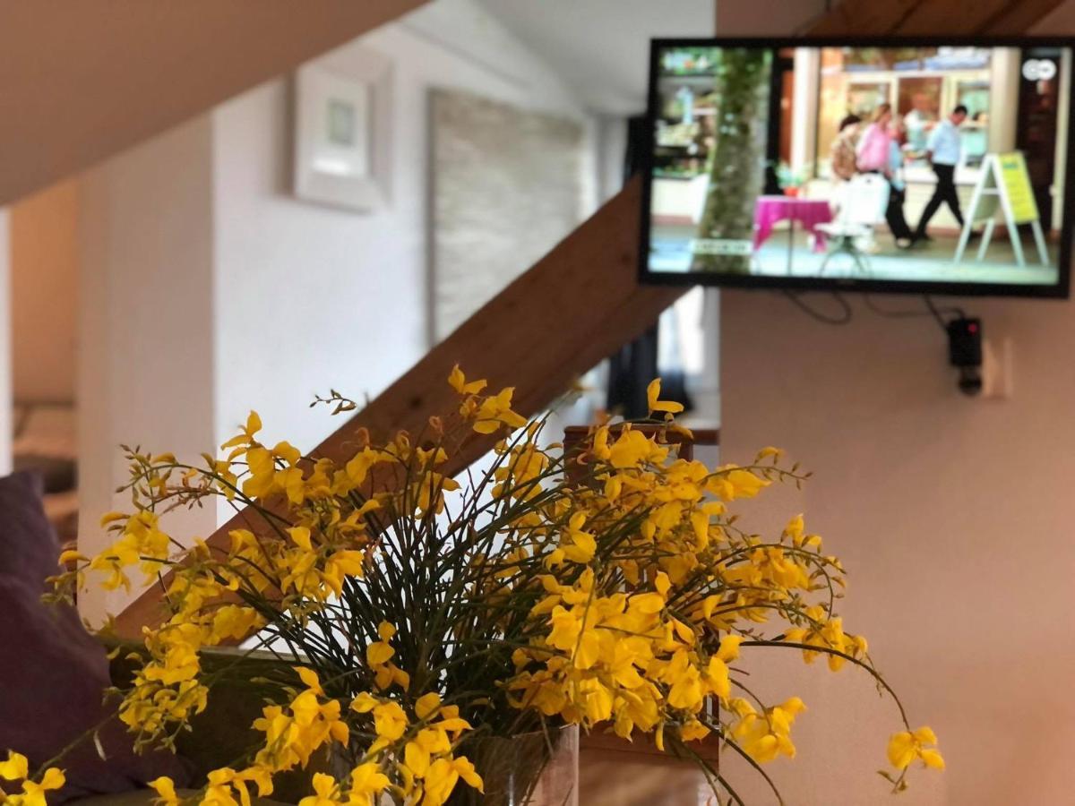 Apartman Miomir