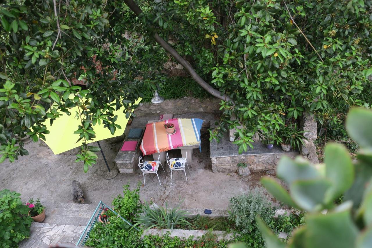 Apartman Miomir