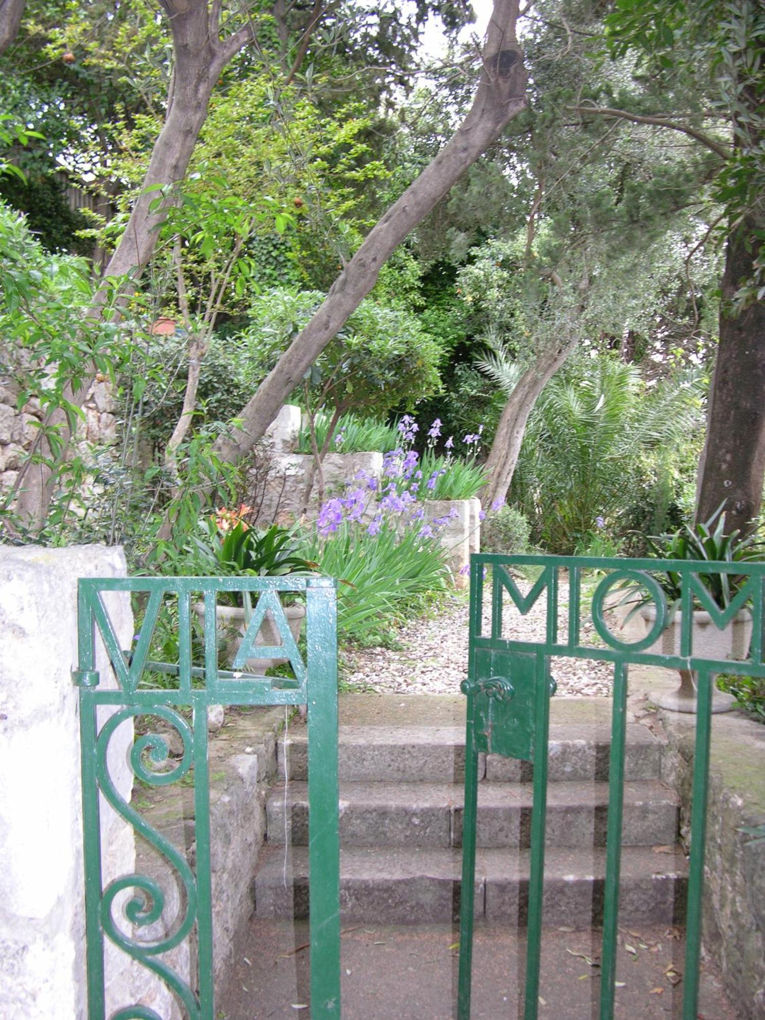 Apartman Miomir *
