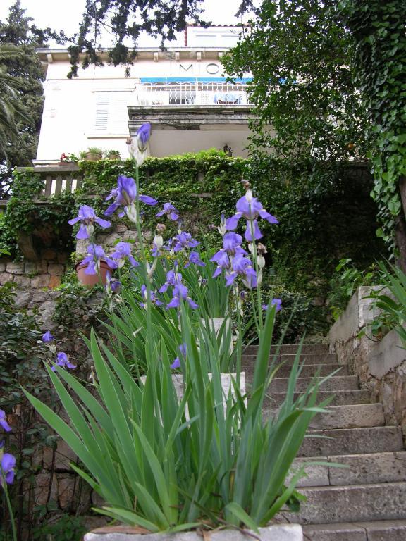 Miomir Apartman Dubrovnik